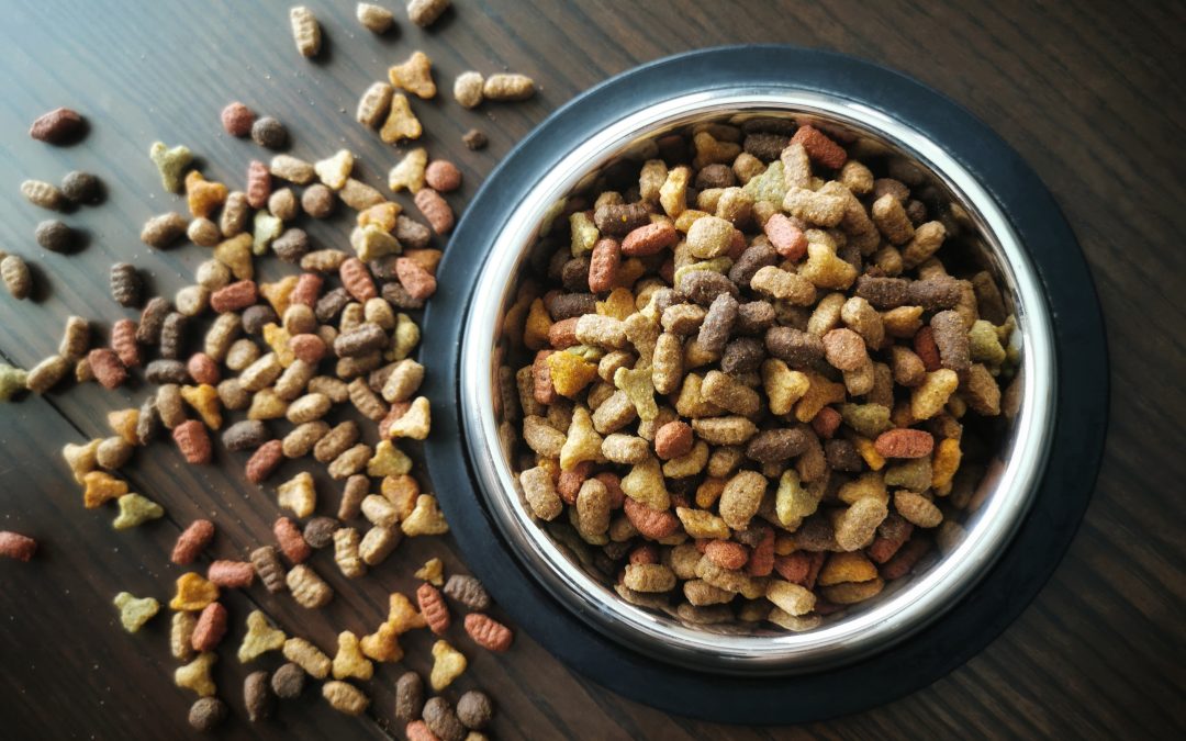 The ABCs of Pet Nutrition: What Your Furry Friend Really Needs