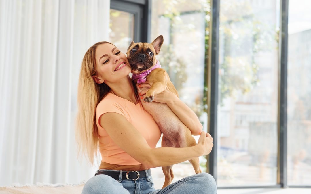 Making Your Home a Pet Haven: Essential Pet-Proofing Tips