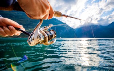 Fishing Fun: A Comprehensive Guide to Tips and Techniques for Anglers